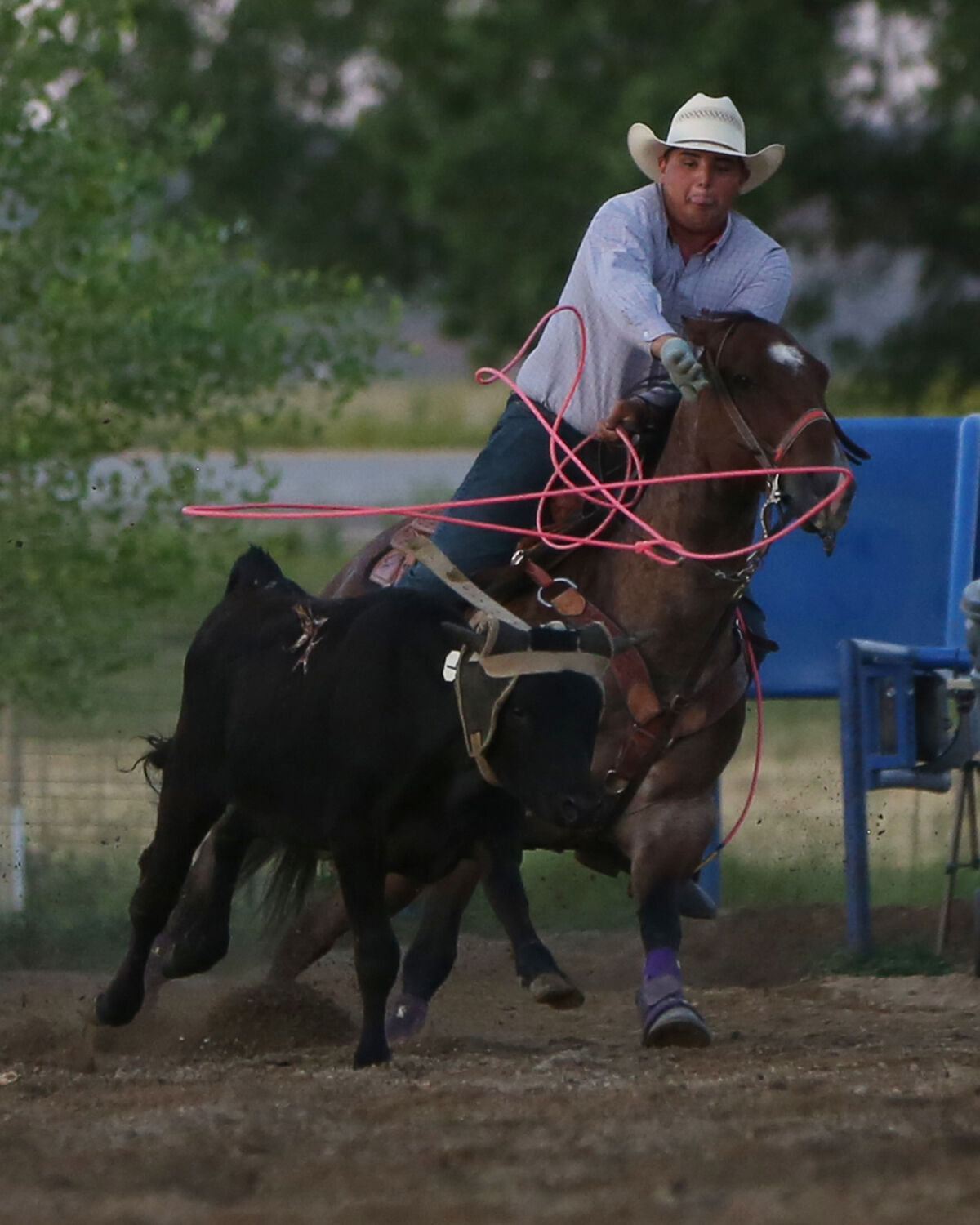 Header Wheaton Williams leans forward after releasing his rope